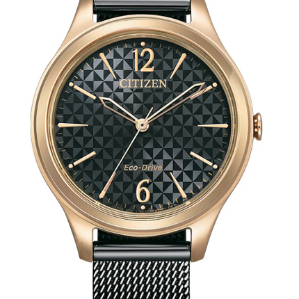 Citizen Eco Drive Watch EM0509-87E
