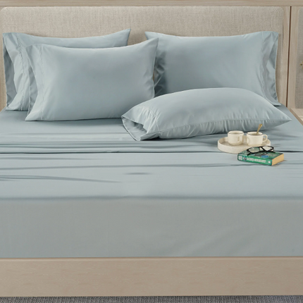 HS  800 Thread Count 6-piece KING USED