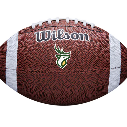 Wilson football