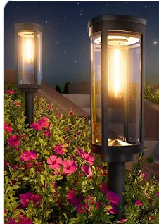 LED Solar Pathway Lights 2-pack