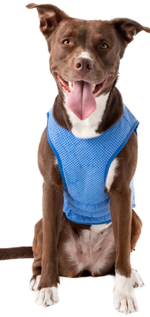 Fresh Pet Ice Vest