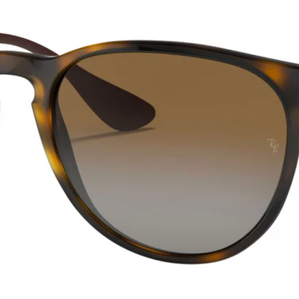 Ray-Ban Erika Classic RB4171 Polarized Sunglasses