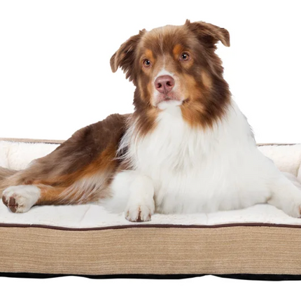 Lounge & Co. Ace Pet Bed 36x27