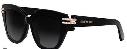 Dior CDIOR B4F Butterfly Sunglasses