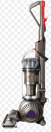 Dyson DC66 Rollerball Animal