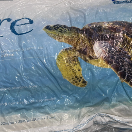 Sealy Pure Pillow 2 Pack Queen