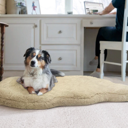 Couture Pet Bed with Faux Fur Top