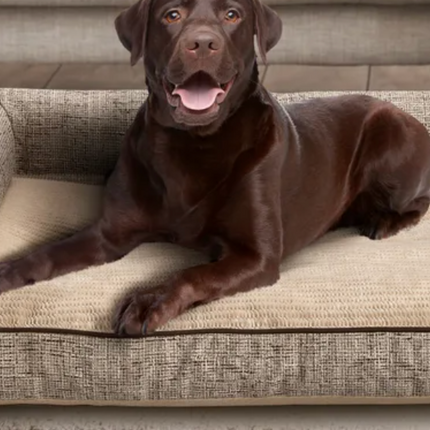 KS Corner Bolster Pet Bed