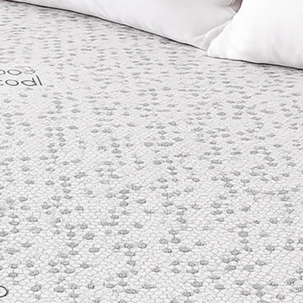 Beautyrest QUEEN Mattress Protector