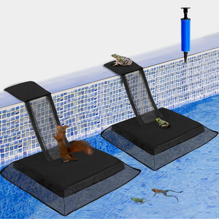 Ramp out of pool FINAL SALE