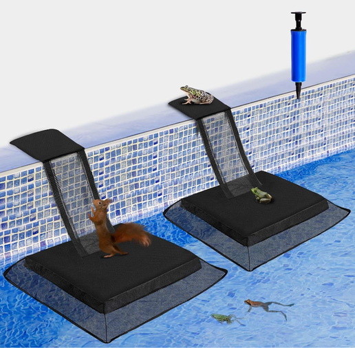 Ramp out of pool FINAL SALE