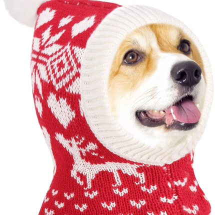 Winter Pet Hat