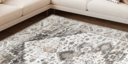 Viana Downy Collection Chateau Mist Indoor Area Rug 3x5