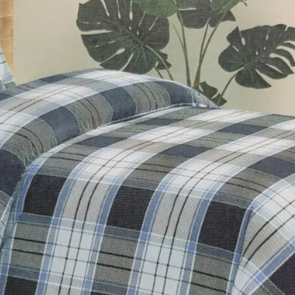 Pendleton - 2 pc Comforter Set TWIN
