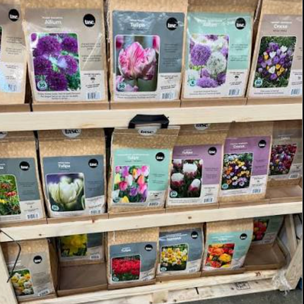 Tasc Flower Bulbs