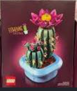LEGO Botanicals Flowering Cactus (Set 11509) OPEN
