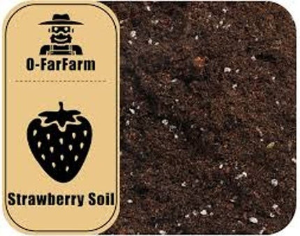 o-Farfarm Organic Potting Soil Mix 1qt for Strawberry Plant