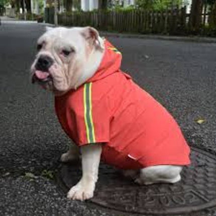 Hooded Pet Dog Raincoat Lightweight  XL