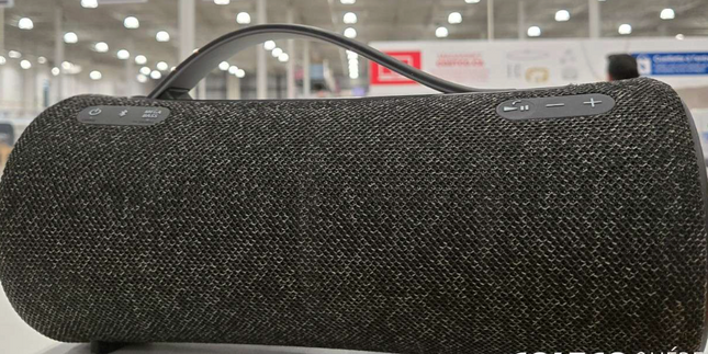 Sony XG300 Portable Wireless Speaker