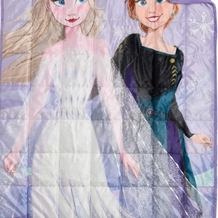 LICENSED Kids Weighted Blanket
