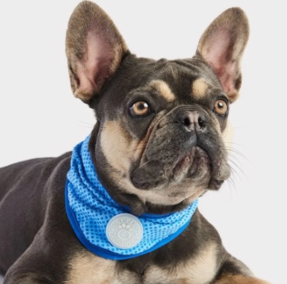 Go Fresh Pets GF Pets Cooling Ice Band