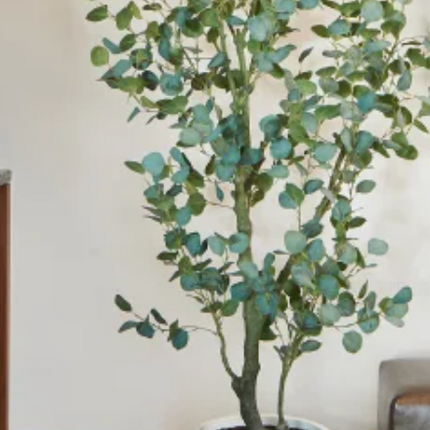 Faux 1.9 m (6.5 ft.) Eucalyptus Tree with Planter