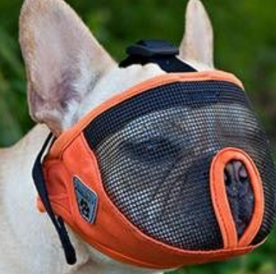 Canine Friendly Short Snout Muzzle