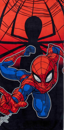 Licensed Character Beach Towel