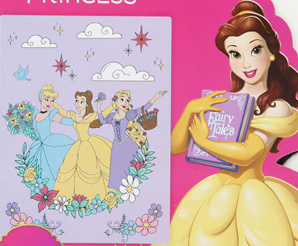 Disney Princess's Blanket USED