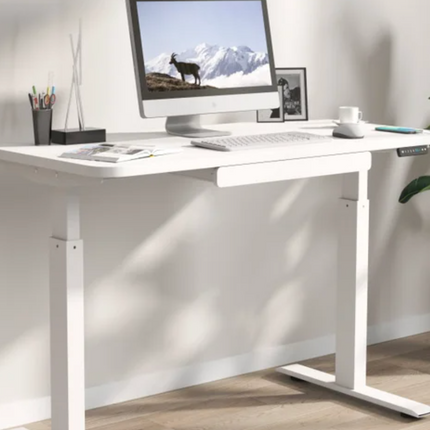 Motionwise 121.9 cm × 61 cm (48 in. × 24 in.) Height Adjustable Standing Desk