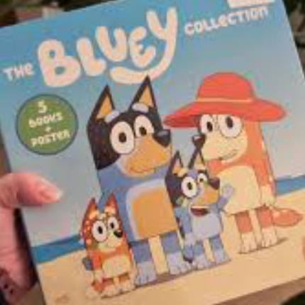 The Bluey Collection 5 Books