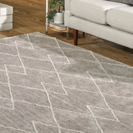 Gertmenian Soft Step Shag Rug USED 5x7