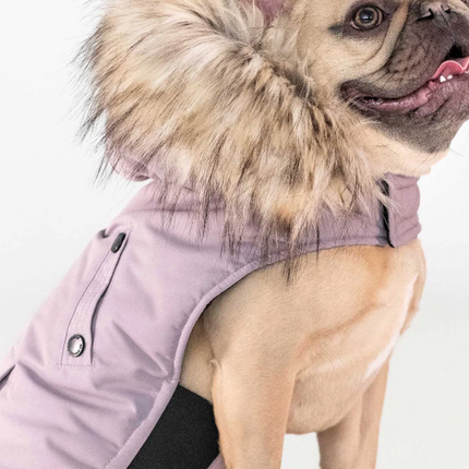 Noize Dog Jacket SMALL