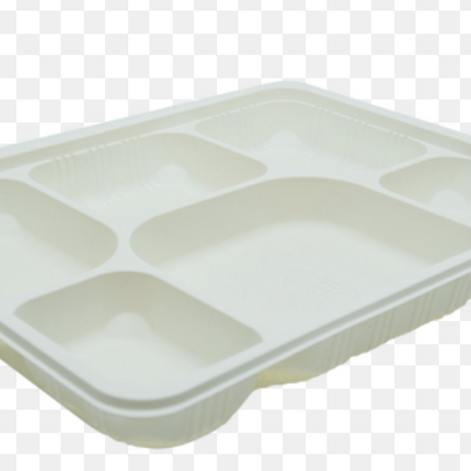 GO4GREEN - 6 Compartment Tray Pack of 100