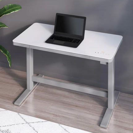Adjustable Lift Desk