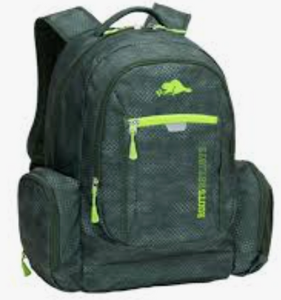 Roots Backpack GREEN