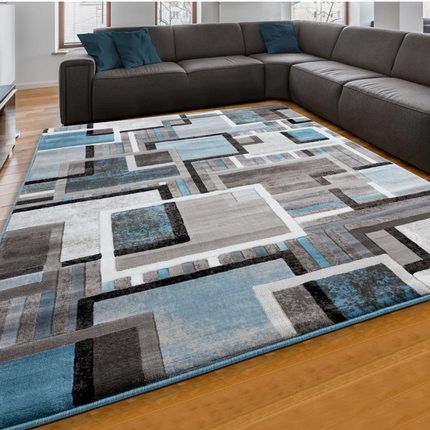 Segma Indoor Rug 9 x 12 USED